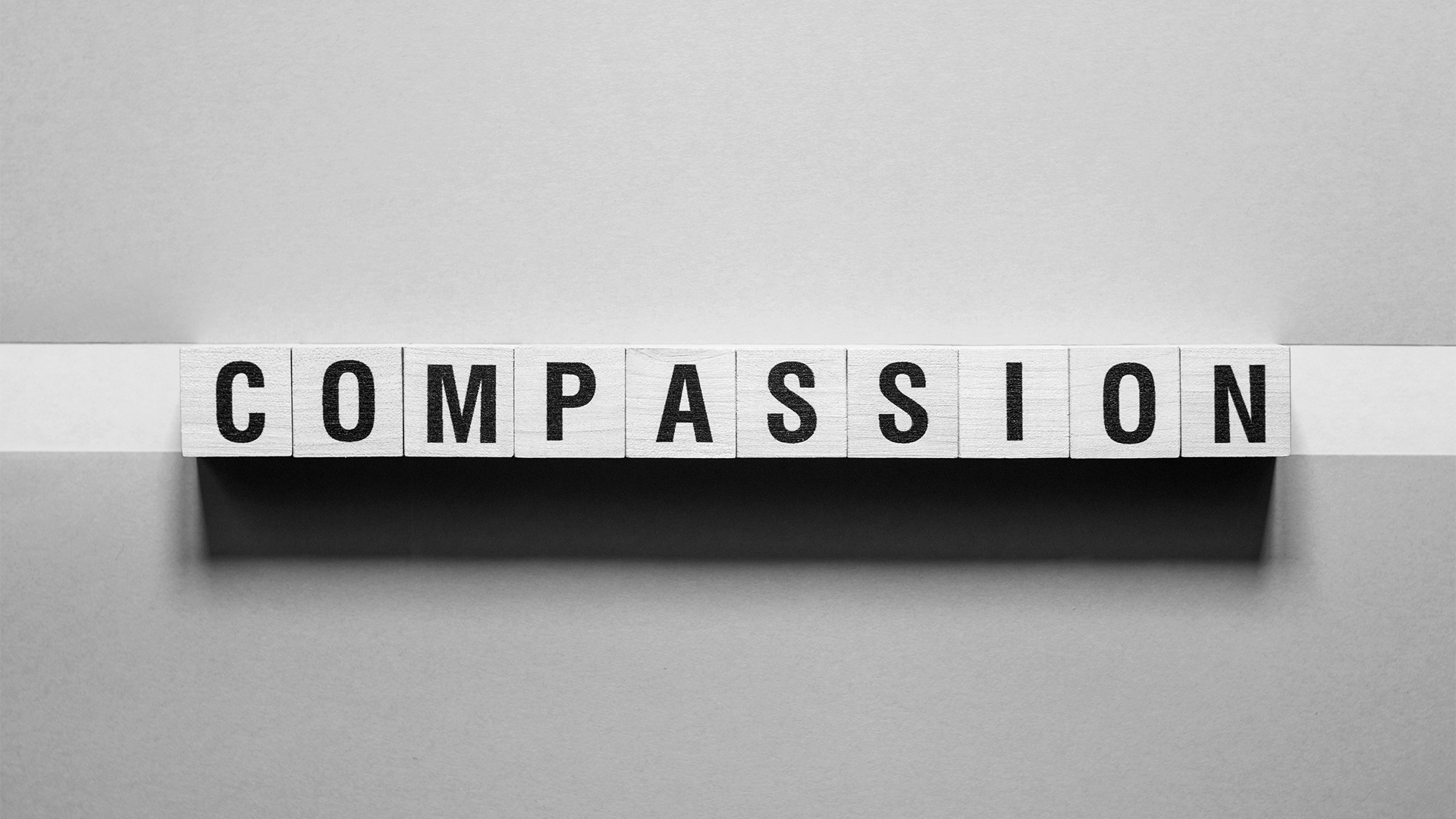 Langebæk-About-Vision-Compassion-1920x1080