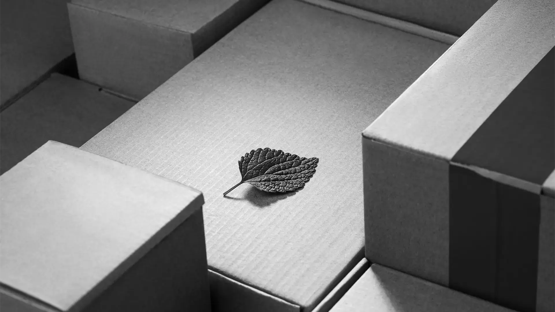 Langebæk-Services-Sustainability-Minimum-Footprint-Distribution-Package-1920x1080